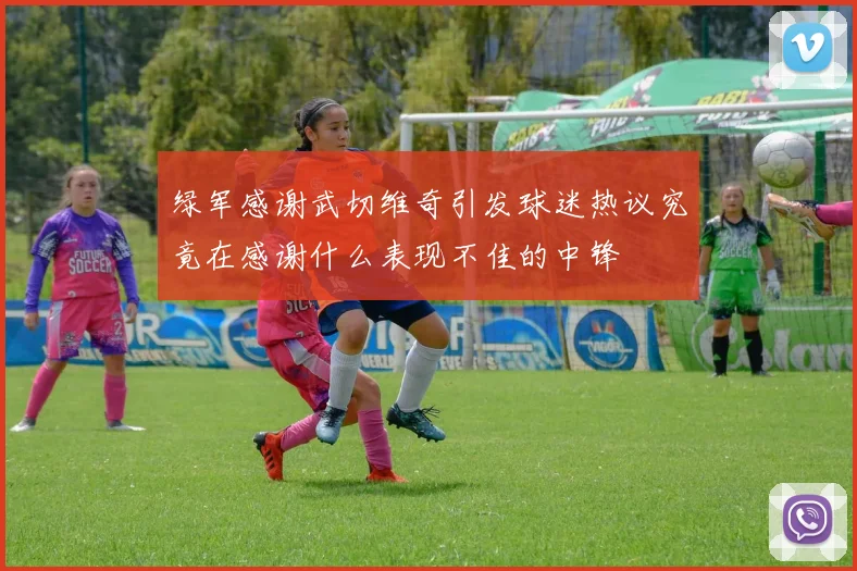 绿军感谢武切维奇引发球迷热议究竟在感谢什么表现不佳的中锋